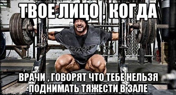 ERGO представляет - Противостояние мемов! - Бодибилдинг форум AnabolicShops