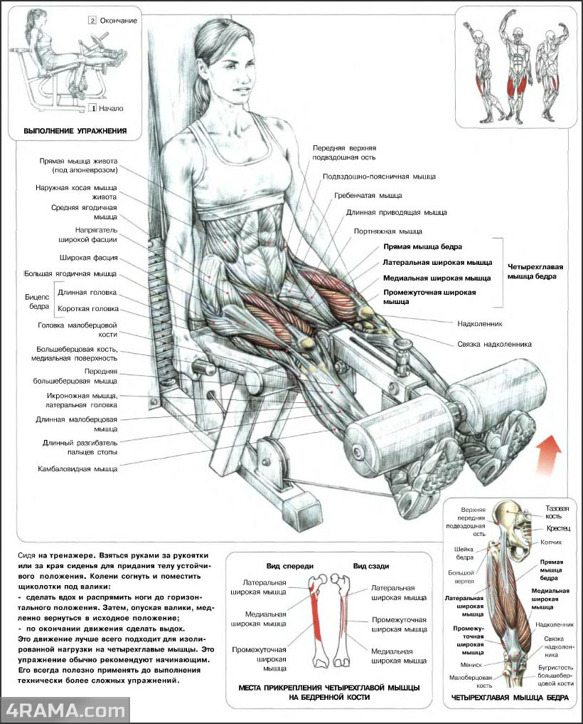 Самые эффективные упражнения для ног - Бодибилдинг форум AnabolicShops