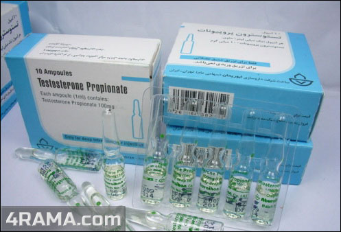 Testosterone Propionate - Бодибилдинг форум AnabolicShops