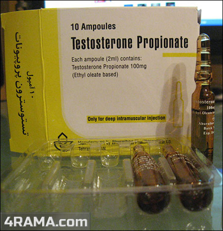 Testosterone Propionate - Бодибилдинг форум AnabolicShops