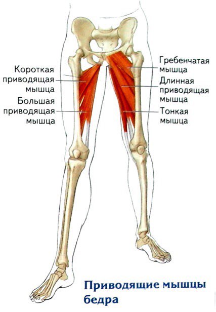 Новая подготовка к турниру по пауэрлифтингу c Hilma - Бодибилдинг форум AnabolicShops