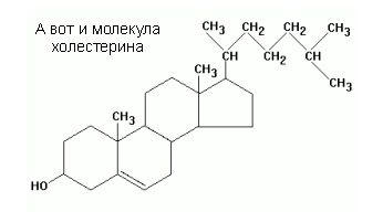 Нуждаюсь в помощи - Бодибилдинг форум AnabolicShops