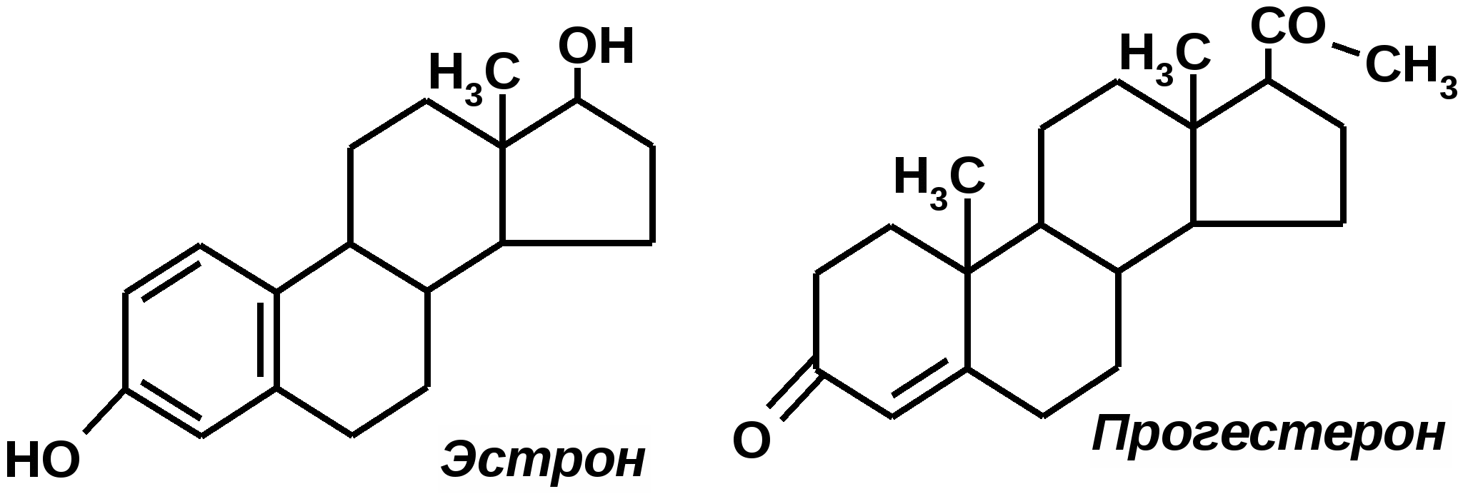 Нуждаюсь в помощи - Бодибилдинг форум AnabolicShops