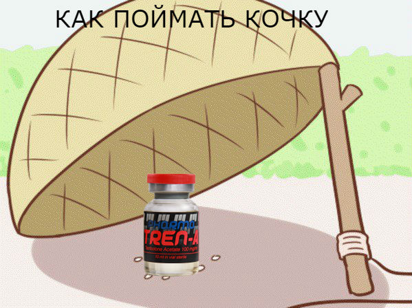 Конкурс "Битва анаболических Мемов!" - Бодибилдинг форум AnabolicShops