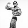 Posterbodybuilding